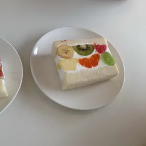 고사리 대표 사진