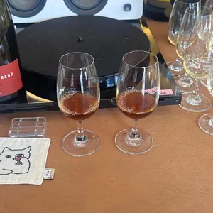 애시트린 대표 사진