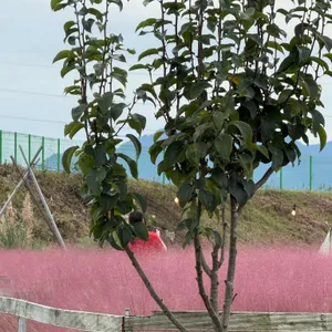 유기농카페 리뷰 사진