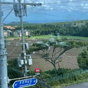 카페 레크레 리뷰 사진