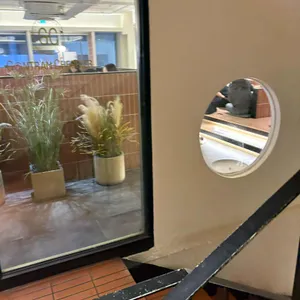 곤트란쉐리에 리뷰 사진