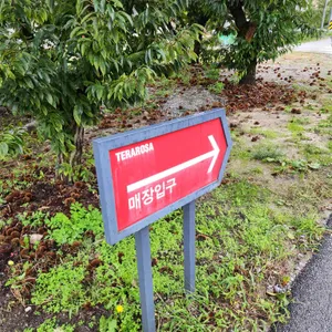 테라로사 리뷰 사진