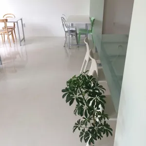 에버 리뷰 사진