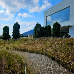 춘소커피 리뷰 사진