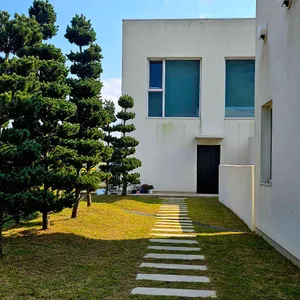 춘소커피 리뷰 사진