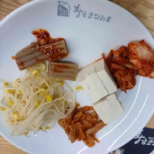 황금코다리 사진