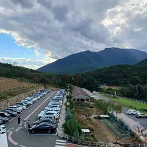 나인힐 베이커리 카페 리뷰 사진