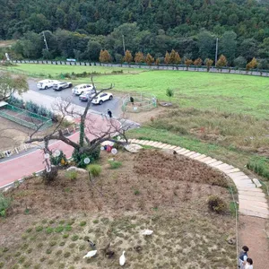 나인힐 베이커리 카페 리뷰 사진