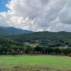 나인힐 베이커리 카페 리뷰 사진