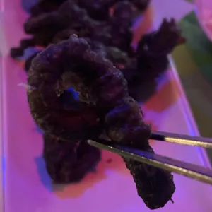 찡어찡어 리뷰 사진