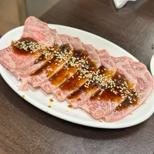 부일갈매기 사진