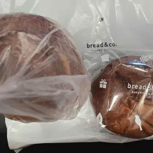 브레댄코 대표 사진