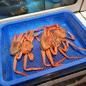 왕십리조개창고 리뷰 사진