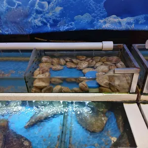 왕십리조개창고 사진