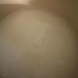 강창구찹쌀진순대 리뷰 사진