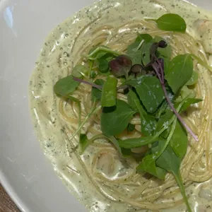 제이스쿠진 사진