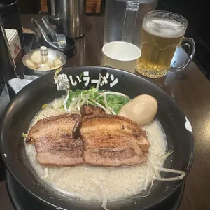 코이라멘 대표 사진