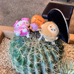 갓잇 리뷰 사진