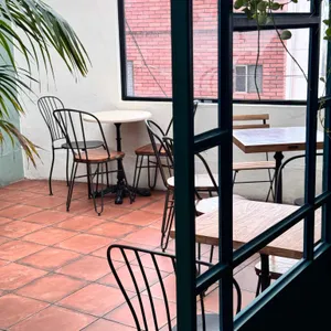 컵오브조이 리뷰 사진