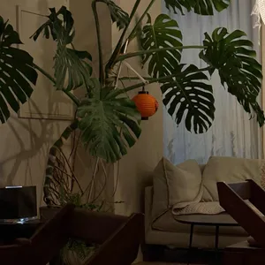 수우 리뷰 사진