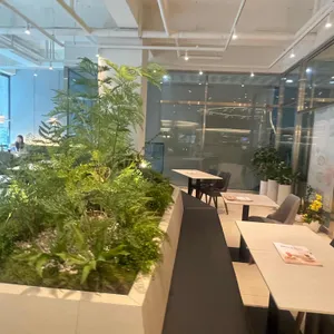 브런치빈 리뷰 사진