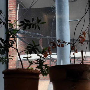 소울레터 커피컴퍼니 리뷰 사진