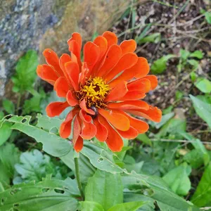 달의 정원 대표 사진