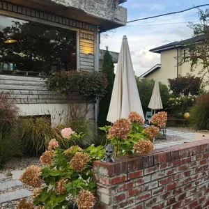 고양이똥 리뷰 사진