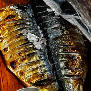 이태리로 간 고등어 사진