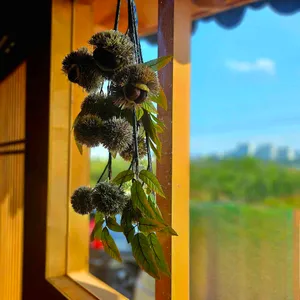 공주쌍신집칼국수 리뷰 사진