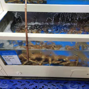 동해바다횟집 리뷰 사진