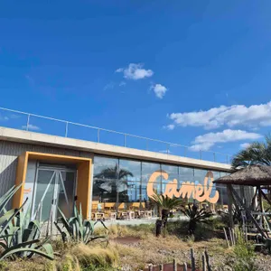 카멜커피 리뷰 사진