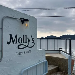 몰리스 리뷰 사진