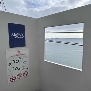 몰리스 리뷰 사진