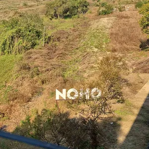 카페 노호 리뷰 사진