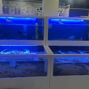 삼부자활어포차 리뷰 사진