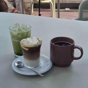 파인즈 대표 사진