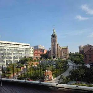 파인즈 리뷰 사진