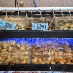 무한조개 대표 사진