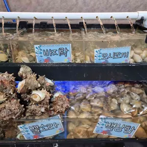 무한조개 리뷰 사진