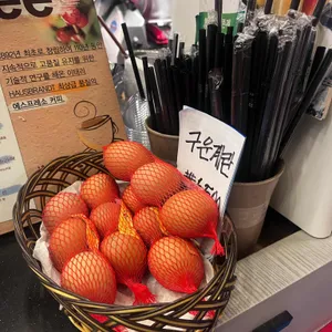 하우스 브란트 대표 사진