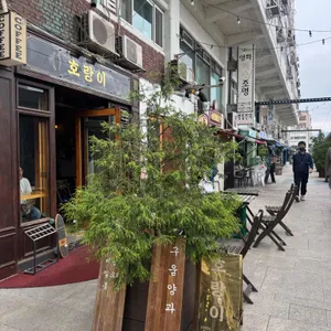 호랑이 리뷰 사진