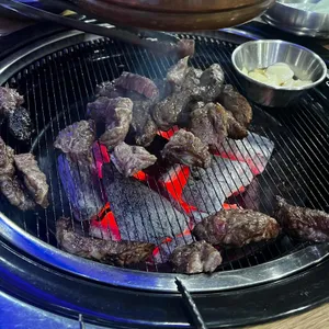 은행나무갈매기 사진