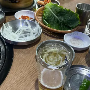 은행나무갈매기 사진