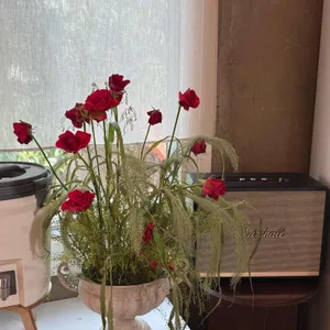 포코아 리뷰 사진