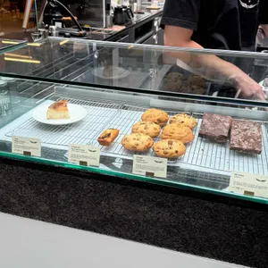 인텔리젠시아 사진