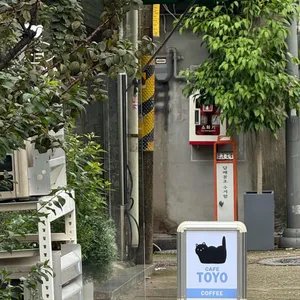 카페토요 리뷰 사진