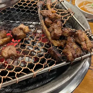 끼로끼로부엉이 사진