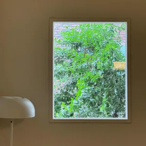 이플 리뷰 사진