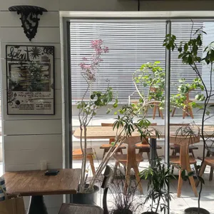 하우스 오브 와일드 리뷰 사진